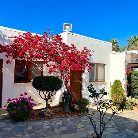 Kali Holiday Apartments Stalida المظهر الخارجي الصورة