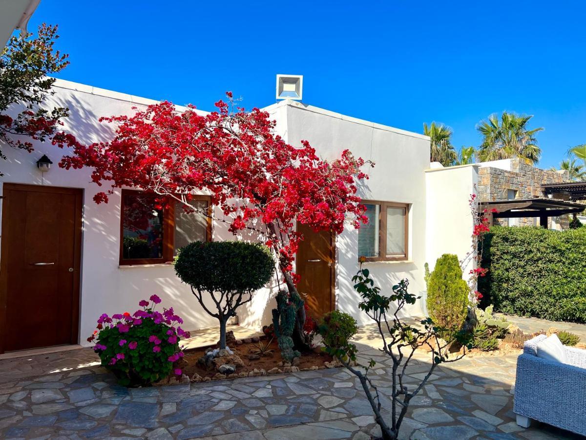 Kali Holiday Apartments Stalida المظهر الخارجي الصورة